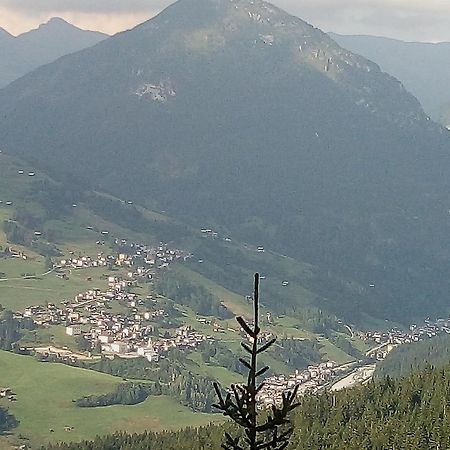 B&B Il Tulipano San Pietro di Cadore Exterior photo