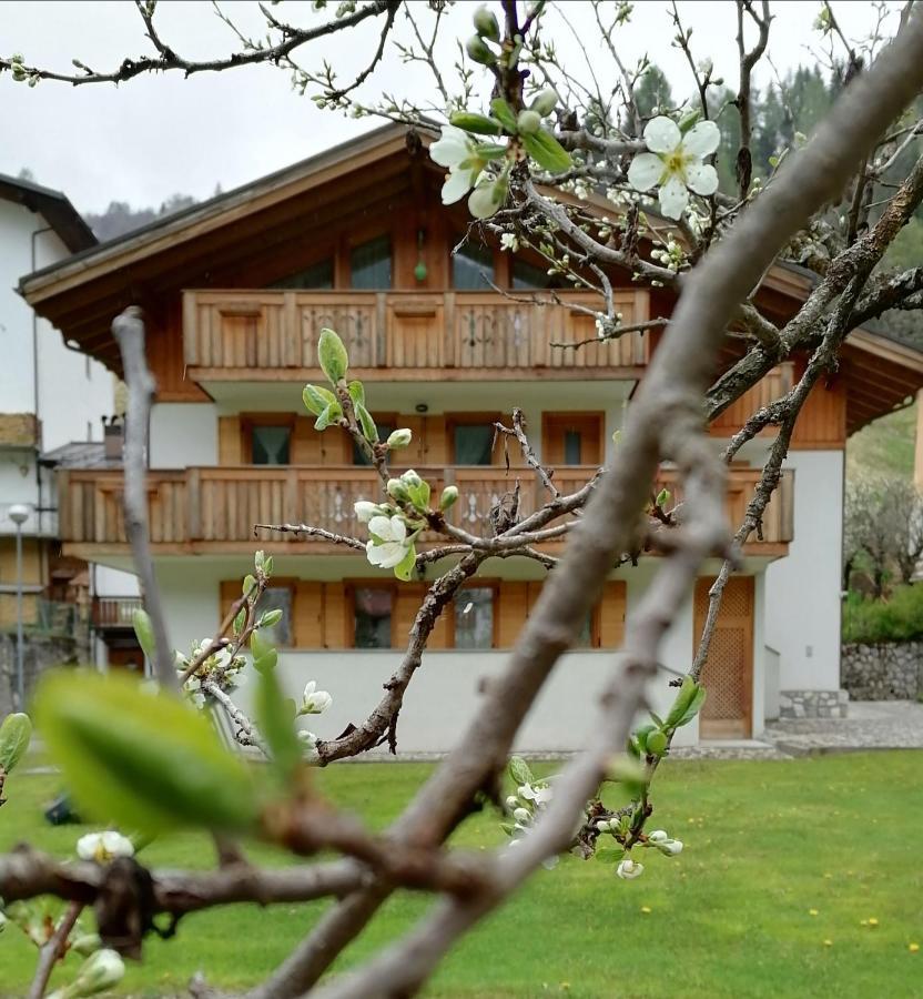 B&B Il Tulipano San Pietro di Cadore Exterior photo