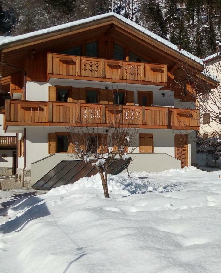 B&B Il Tulipano San Pietro di Cadore Exterior photo