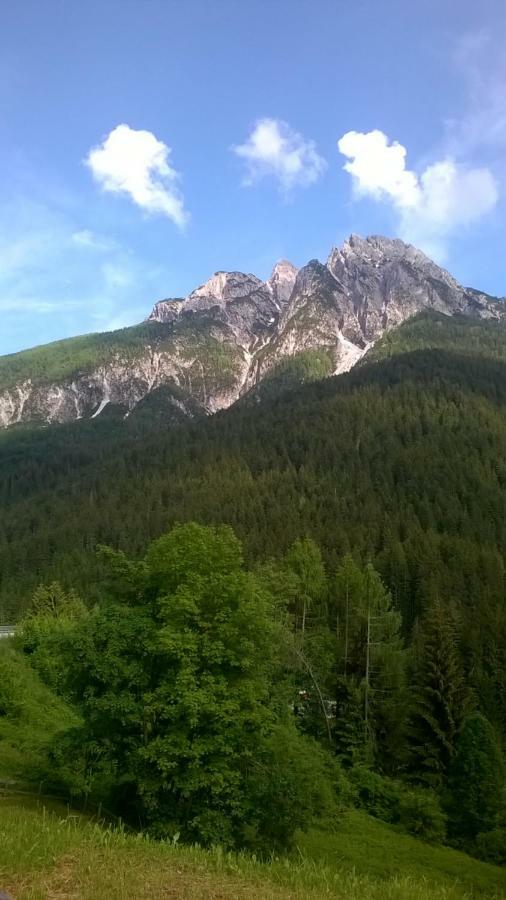 B&B Il Tulipano San Pietro di Cadore Exterior photo