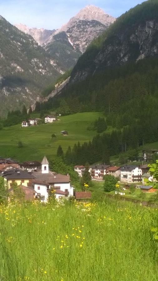 B&B Il Tulipano San Pietro di Cadore Exterior photo